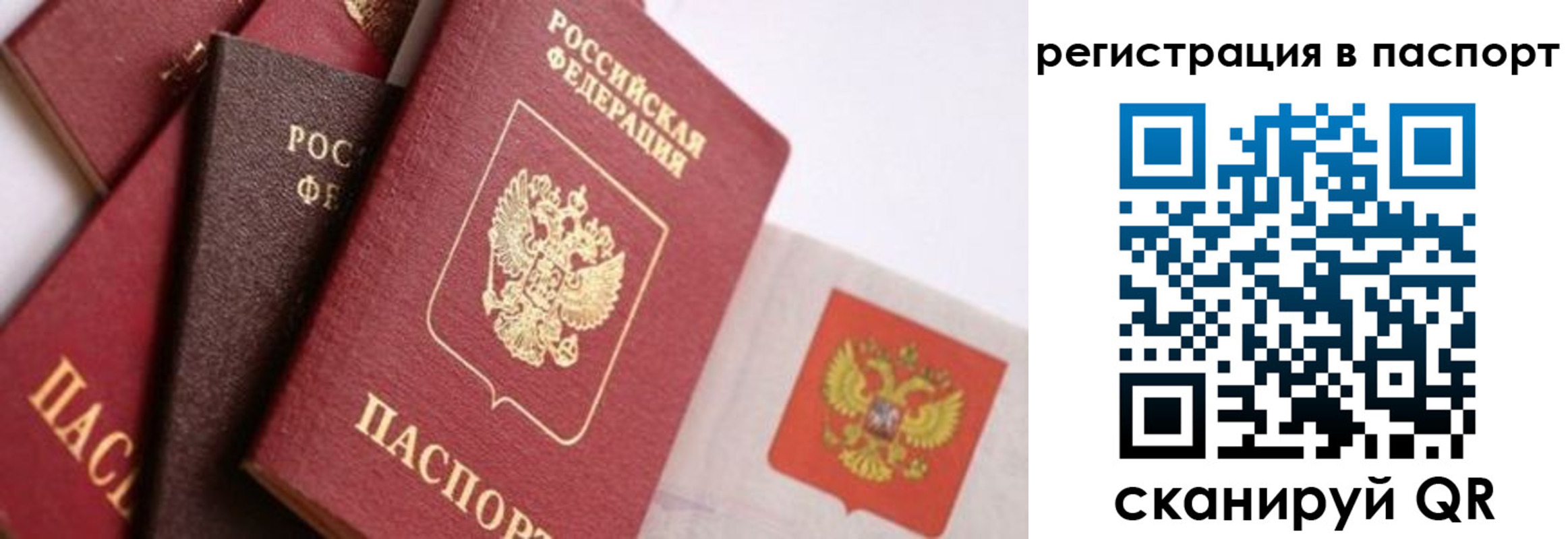 прописка в квартире в Волгограде